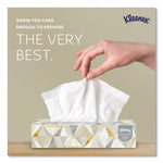 White Facial Tissue for Business, 2-Ply, 125 Sheets/Box, 12 Boxes/Carton