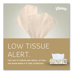 White Facial Tissue for Business, 2-Ply, White, Pop-Up Box, 125 Sheets/Box, 48 Boxes/Carton