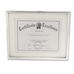Plastic Document Frame with Mat, 11 x 14 and 8.5 x 11 Inserts, Metallic Silver